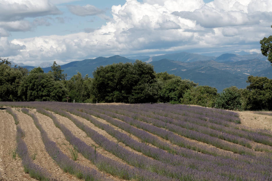 Vue du plateau de Ganagobie