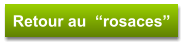 Retour au  “rosaces”