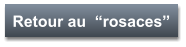 Retour au  “rosaces”