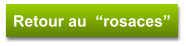 Retour au  “rosaces”