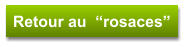 Retour au  “rosaces”
