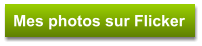 Mes photos sur Flicker