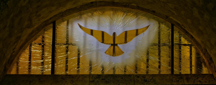 Oeuvre de FLEUR NABERT-VLAJAVEC en éclairage naturel