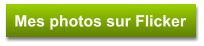Mes photos sur Flicker