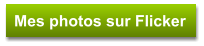 Mes photos sur Flicker