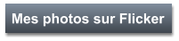 Mes photos sur Flicker