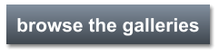 browse the galleries