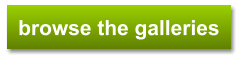 browse the galleries