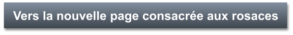 Vers la nouvelle page consacrée aux rosaces