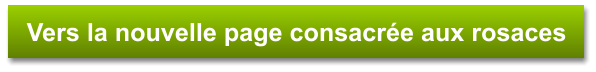 Vers la nouvelle page consacrée aux rosaces