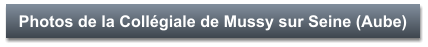Photos de la Collégiale de Mussy sur Seine (Aube)